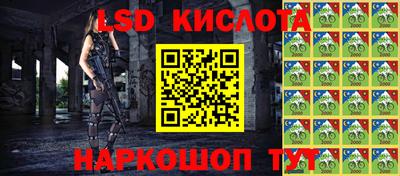 шишки Гатчина