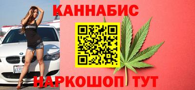 шишки Гатчина