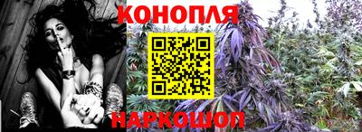 шишки Гатчина