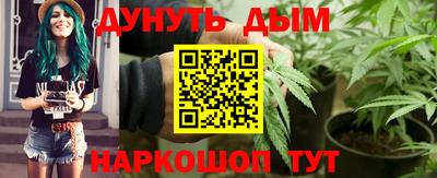 шишки Гатчина