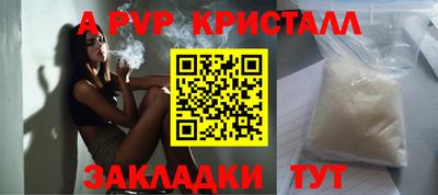 шишки Гатчина