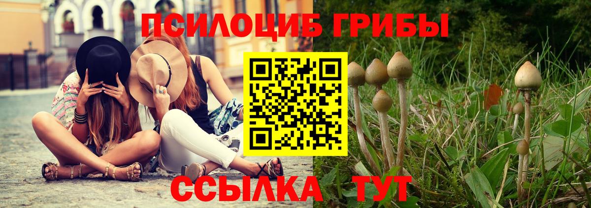 Нижний Новгород  Псилоцибиновые грибы мицелий  где купить   Вход с VPN 