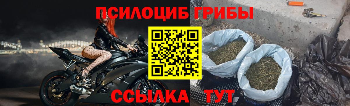 Галлюциногенные грибы Magic Shrooms Нижний Новгород